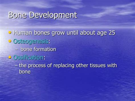 Bone Development Algorithm 的图像结果