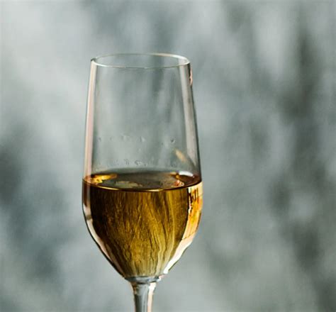 How To Taste Tequila - World of Tequila