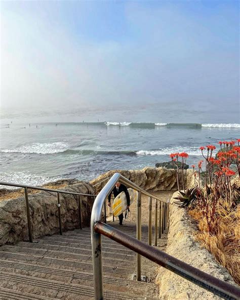 Top 5 Tide Pools in Santa Cruz County - Visit Santa Cruz County in 2025 ...