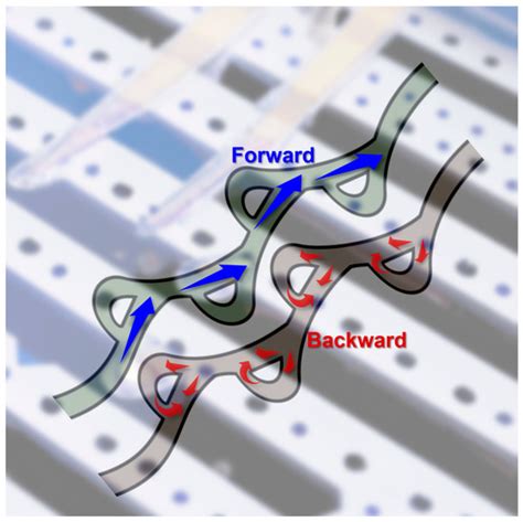 Chemosensors | April 2023 - Browse Articles