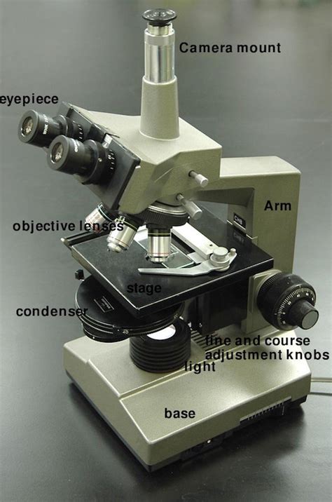 Image result for Compound Microscope Magnification Levels