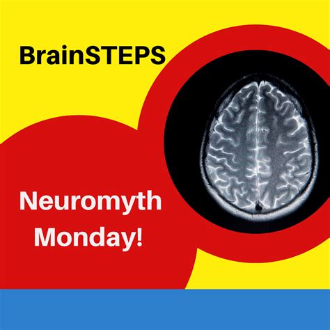 Brain Scans & Concussion | Brain scan, Symptoms of concussion, Ct scan