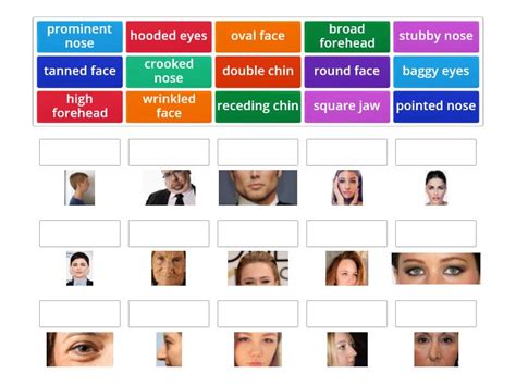 Advanced Conversation - Session 4 - Describing face features - Matching - Match up