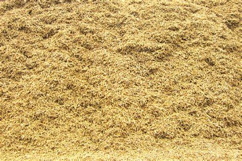 Fine Biomass Gasifier - Ankur Scientific