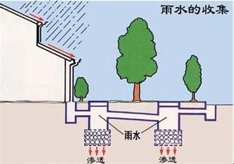 雨水收集技术方式和意义|城市建设|绿地|屋面_新浪网