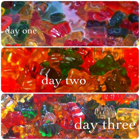Alcohol Gummy Bears Recipe - Seriously Sour Vodka Infused Gummy Worms ...