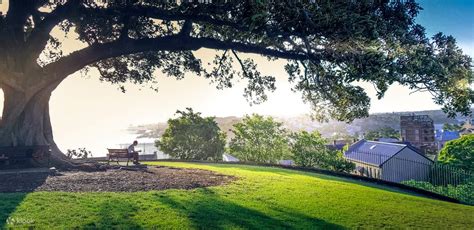 Photography Masterclass In Sydney by Picture Me Sydney - Klook India