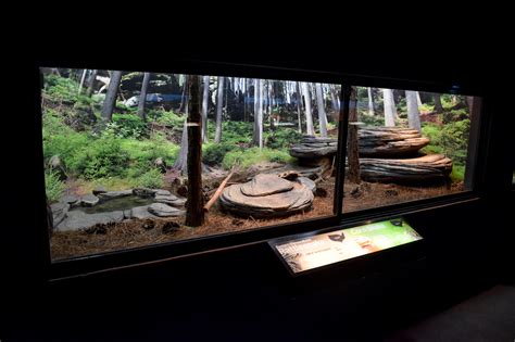 Rattlesnake/Corn Snake Enclosure - ZooChat