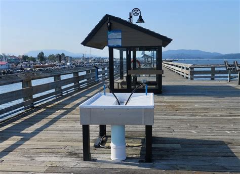 DISCOVERY FISHING PIER (2026) All You Need to Know BEFORE You Go (with ...