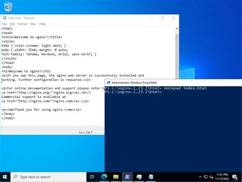 Image result for Nginx Python Windows 11