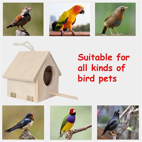 Different Types Of Bird Houses