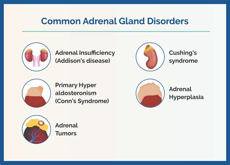 Adrenal Insufficiency Related Conditions Prevention Of Adrenal Crisis: