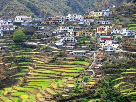 Village 的图像结果