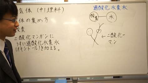 Image result for Study Guide 12 Evolution