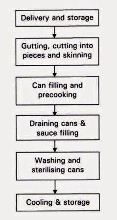 Image result for Fish processing Fish Canning Process