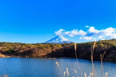 Our Guide to The Fuji Five Lakes | Japan Wonder Travel Blog