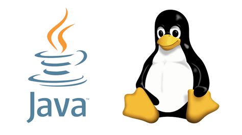 Image result for Cod Programacao Em Java