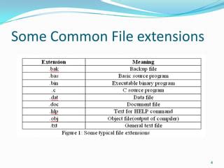 Explain File Extensions 的图像结果