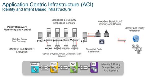 ACI Logic Model 的图像结果