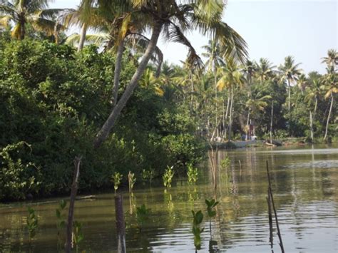 Ithikkara River in Kerala: Tampering with Nature – a recipe for ...