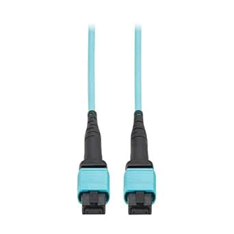 Eaton Tripp Lite Series 1 Meter OM4 50/125 Fiber Optic Cable, 100G ...