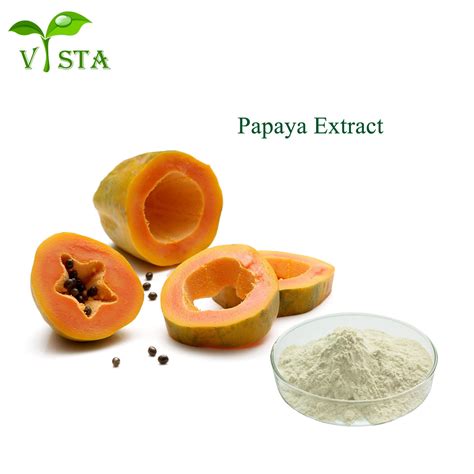 100% ISO Certified Natural Water Soluble Papaya Extract Digestive ...