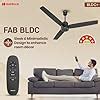 Buy Havells FAB BLDC Ceiling Fan 1200mm (Made In India), 380 RPM ...