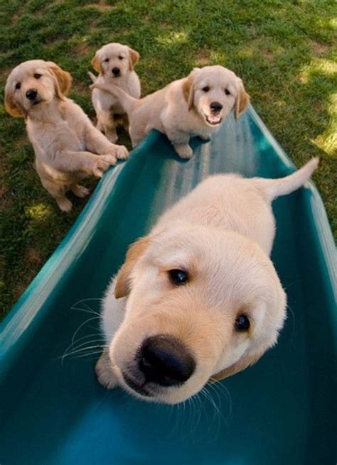 • rare never before seen photo of 5sos