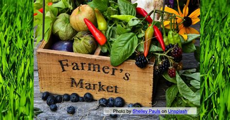 Support Local Food 的图像结果