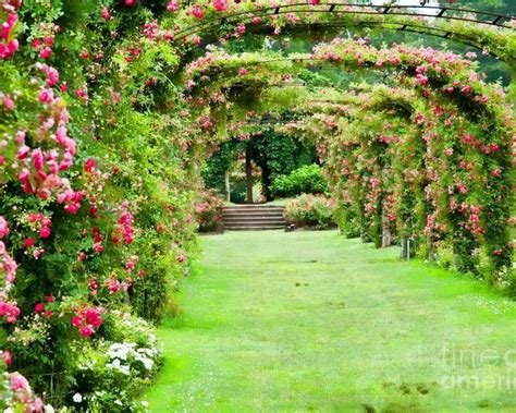 Image result for Garden Sheds at Lowe's