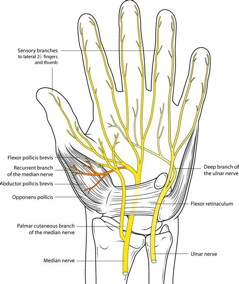 Finger Muscle Twitch