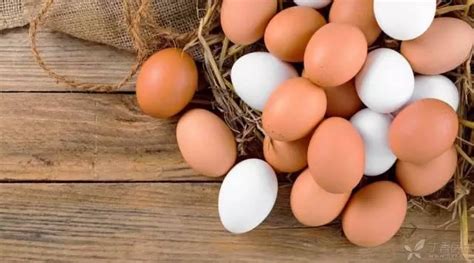 语音版：鸡蛋的N种吃法及英文表达_eggs