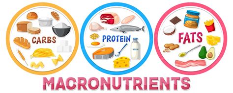 Image result for Macronutrients Basic Structure