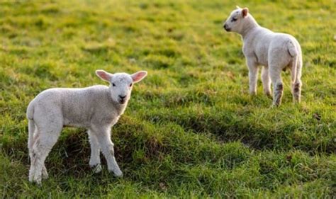 When Does Spring Start 的图像结果