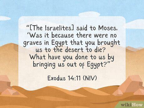 Rezultat imagine pentru Funny Scriptures