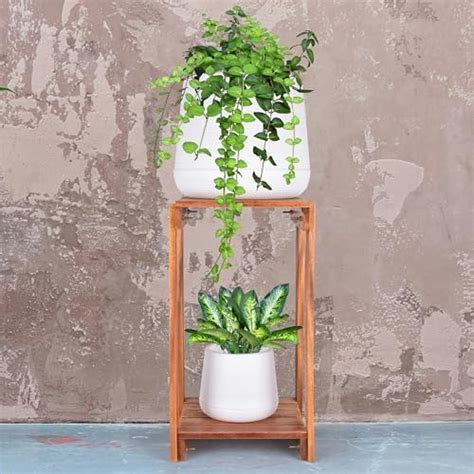 Rainure Wooden Plant Stand - Natural Wood Indoor & Outdoor Plant ...
