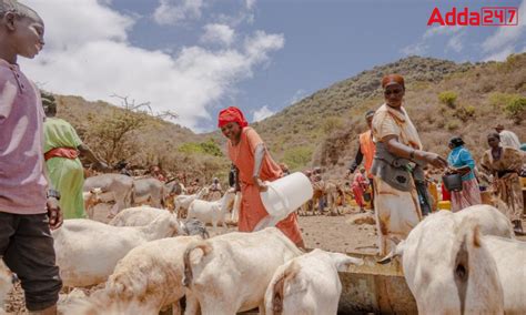 One Health Joint Plan of Action: WHO, UNEP, and FAO lay a plan