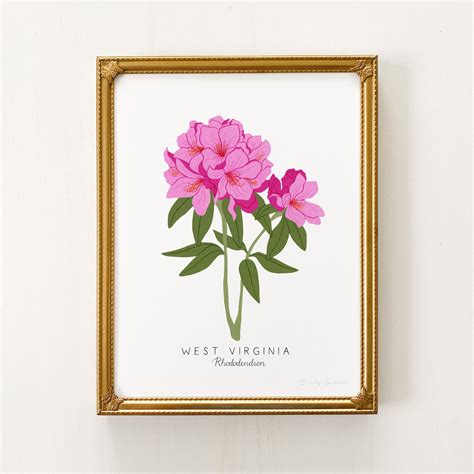 West virginia state flower – Artofit