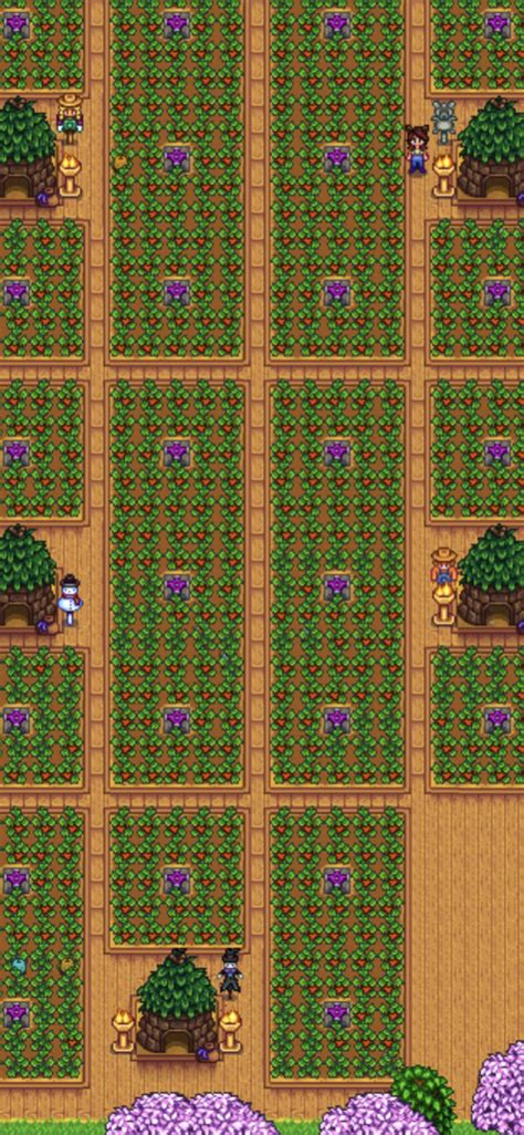 Stardew Valley Best Outdoor Flooring at Imogen Corbett blog