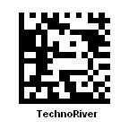 Image result for Data Matrix Barcode Types