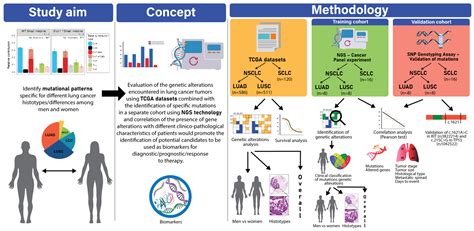 Next-Generation Sequencing in Lung Cancer Patients: A Comparative ...