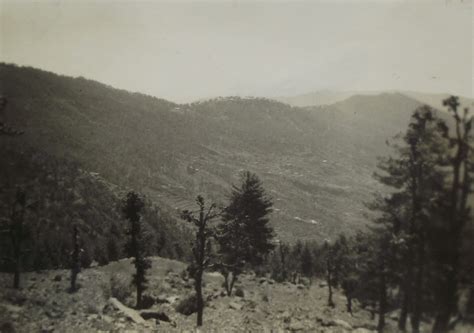 Image result for History Blog Post Example
