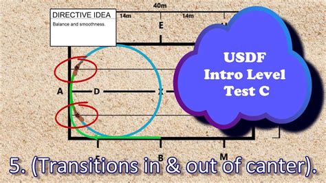 Image result for USDF Intro Test A