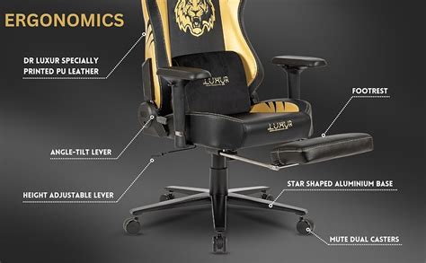 Dr Luxur® Predator Ergonomic Gaming Chair for Home Office with Magnetic ...