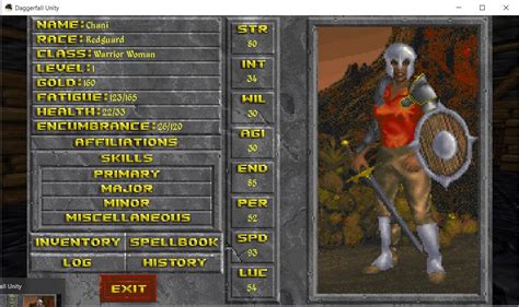 Image result for Daggerfall Unity Character Sheet