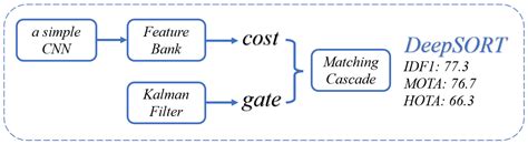 Image result for Deepsort Tutorial