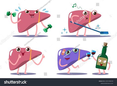 Image result for Liver Function Grincs