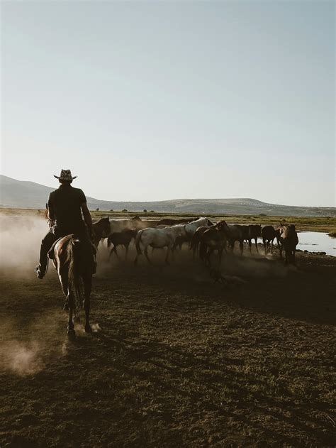 Cowboy and Horses by Water on Pasture at Sunset · Free Stock Photo