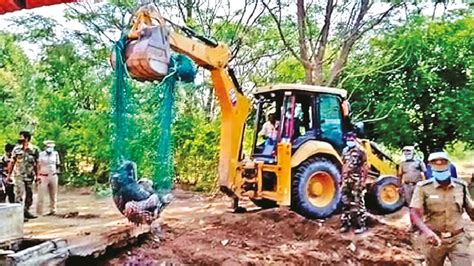 Herd of elephants search for calf that fell into tank, died in Kovai
