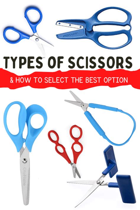 Image result for Scissors Types